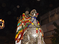 Srirangam Renganathar Annam Vaganam