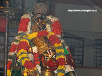 Srirangam Renganathar Kudhiri (Horse) Vaganam Photos