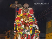 Srirangam Renganathar Kudhiri (Horse) Vaganam Photos