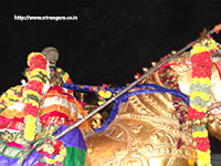 Srirangam Renganathar Kudhiri (Horse) Vaganam Photos