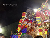 Srirangam Renganathar Kudhiri (Horse) Vaganam Photos