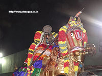 Srirangam Renganathar Kudhiri (Horse) Vaganam Photos