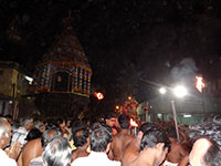 Srirangam Renganathar Kudhiri (Horse) Vaganam Photos