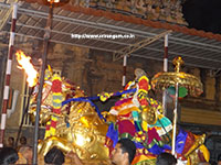 Srirangam Renganathar Kudhiri (Horse) Vaganam Photos