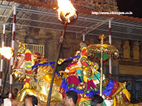 Srirangam Renganathar Kudhiri (Horse) Vaganam Photos