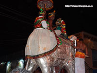 Srirangam Renganathar Garudalvar Vaganam