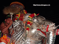 Srirangam Renganathar Garudalvar Vaganam