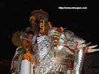 Srirangam Renganathar Garudalvar Vaganam