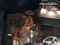 Srirangam Renganathar Garudalvar Vaganam